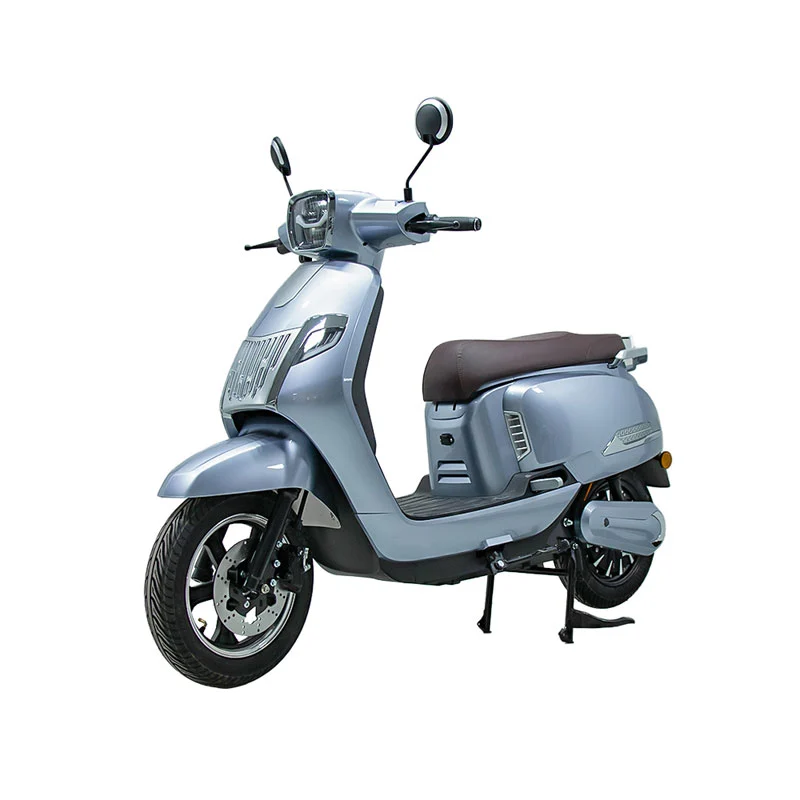 Motocicletă electrică pentru adulți 10 inch 800W Motocicletă